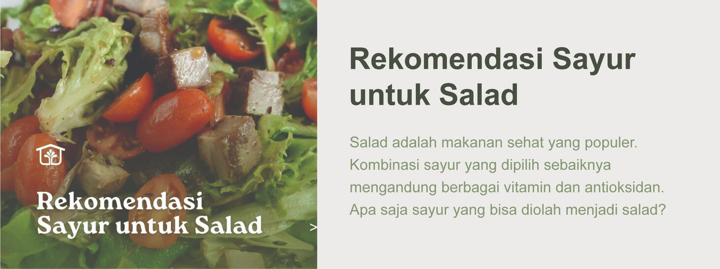 Rekomendasi Sayur untuk Salad